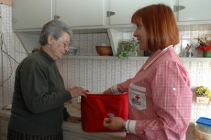 Apoio Domicili&aacute;rio